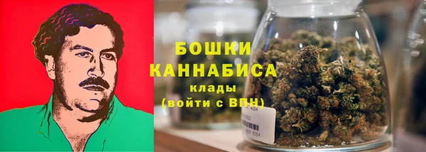 PSILOCYBIN Гусев