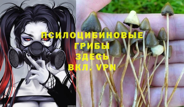 apvp Дмитровск