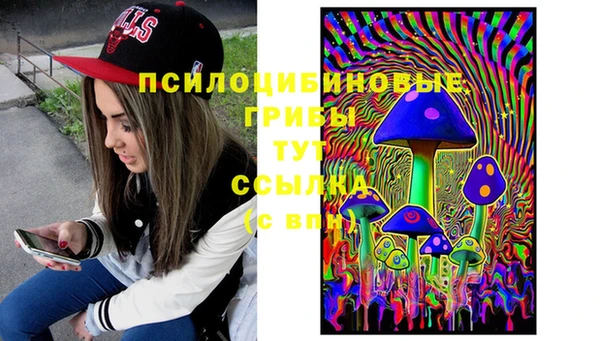PSILOCYBIN Гусев