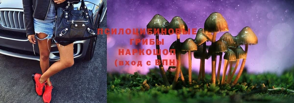 PSILOCYBIN Гусев